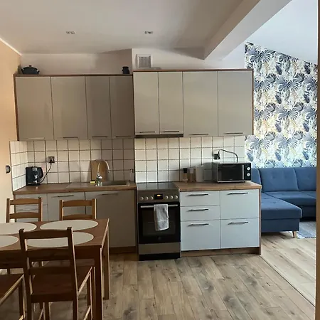 Luksusowy Przestronny Apartment *